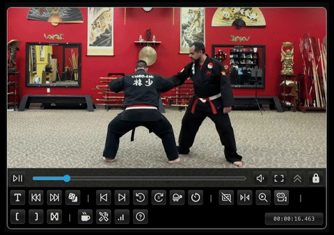 Multi-angle video capture